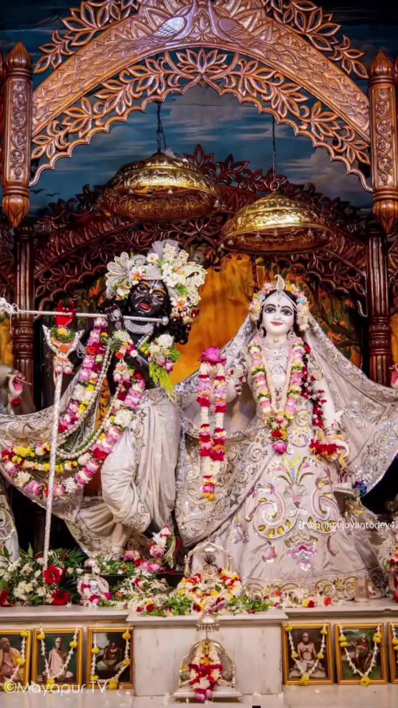 @রাজ চৌধুরী রাজ