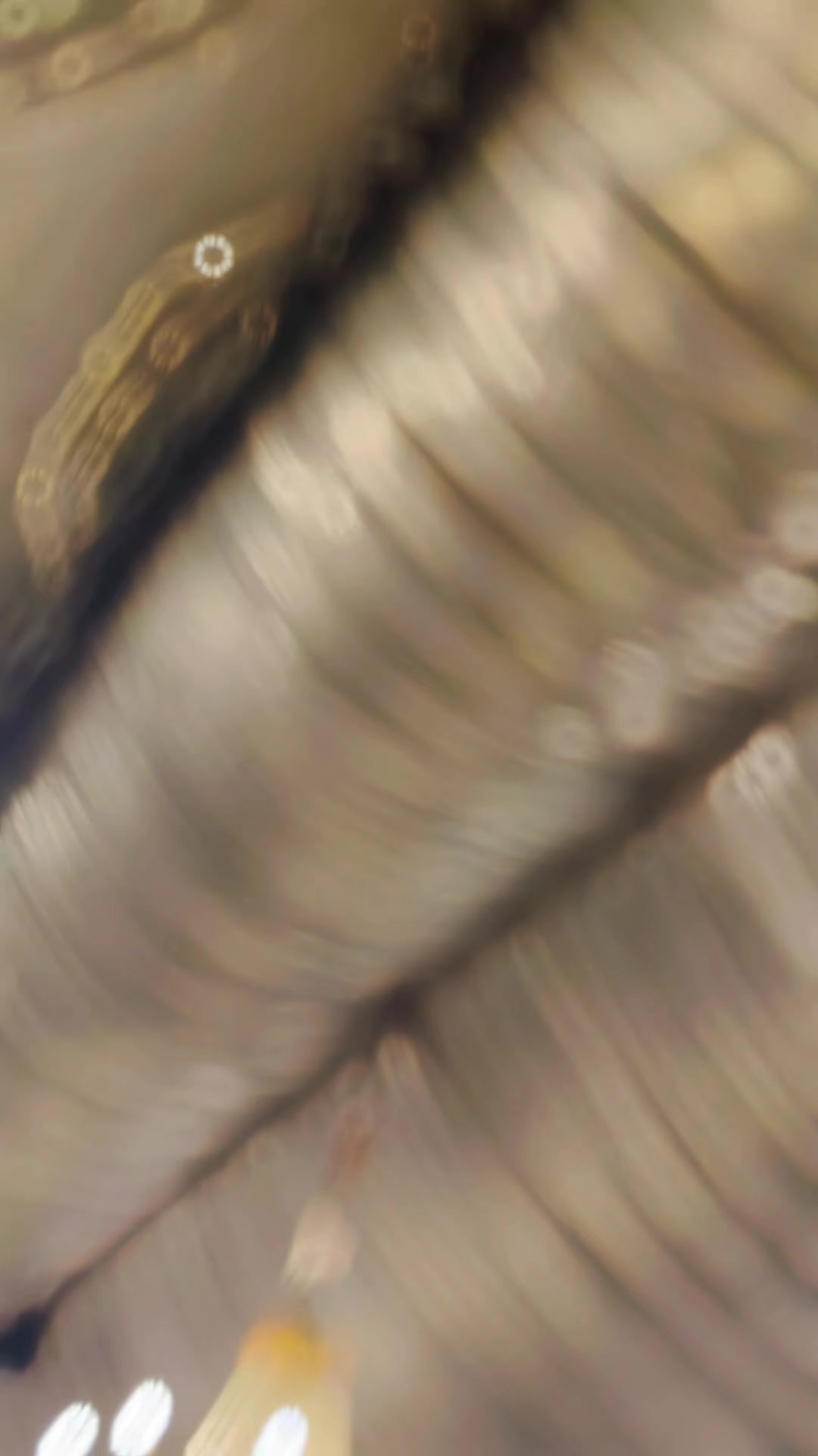 @𝓱𝓪𝓷𝓭𝓼𝓸𝓶𝓮...𝓫𝓸𝔂