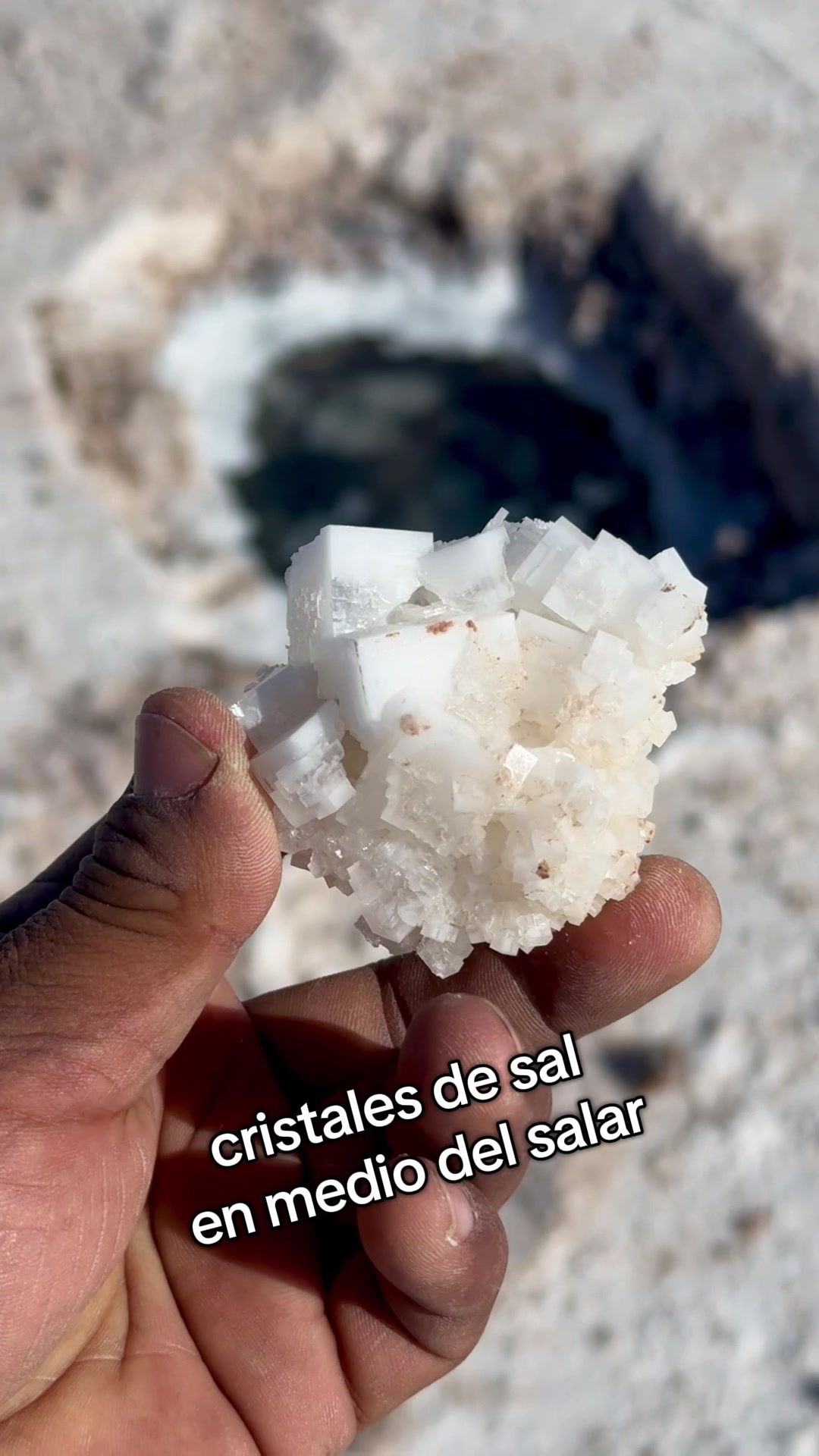 @salardeuyuniOasisBolivia