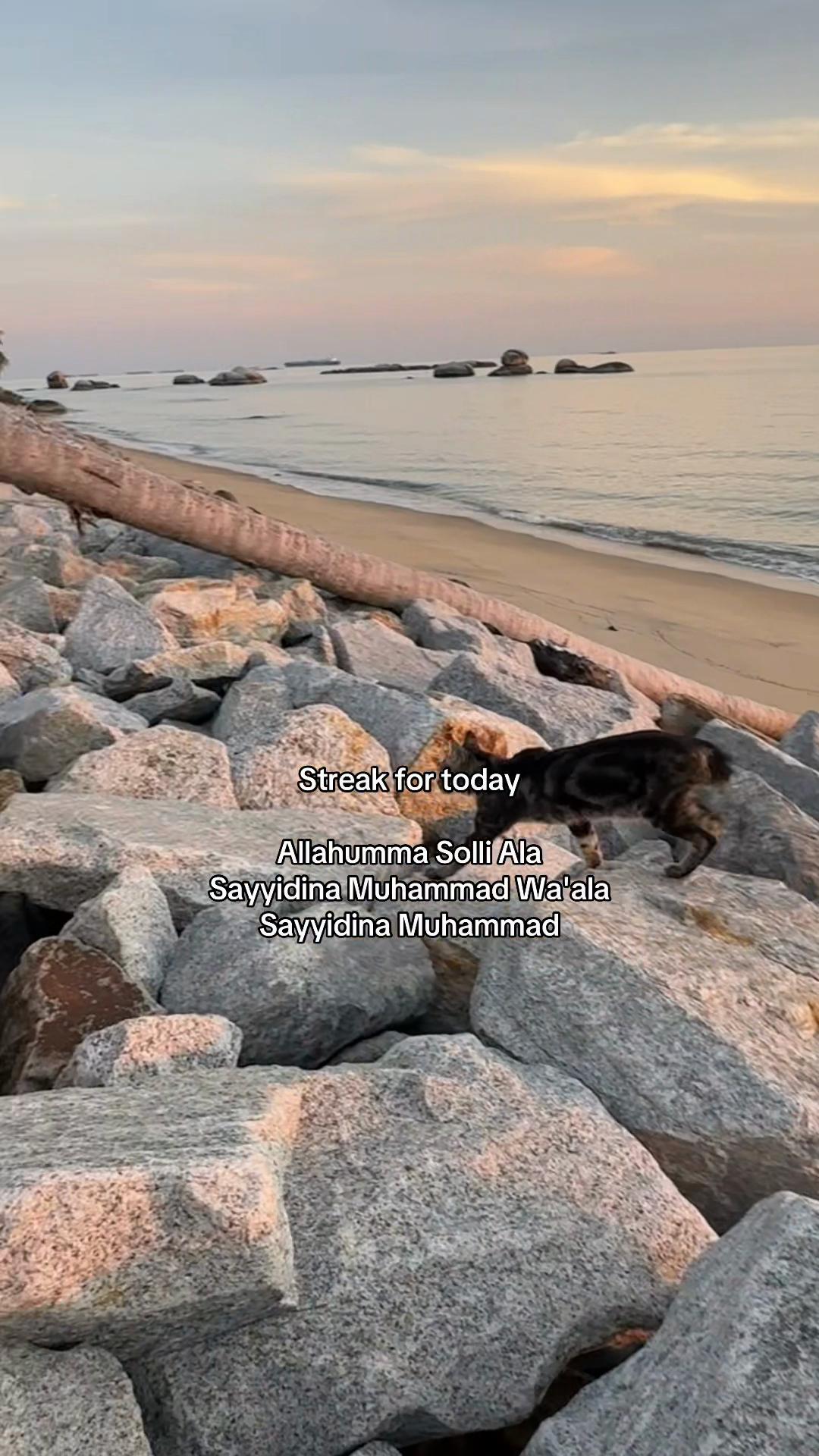 @دانش🦘