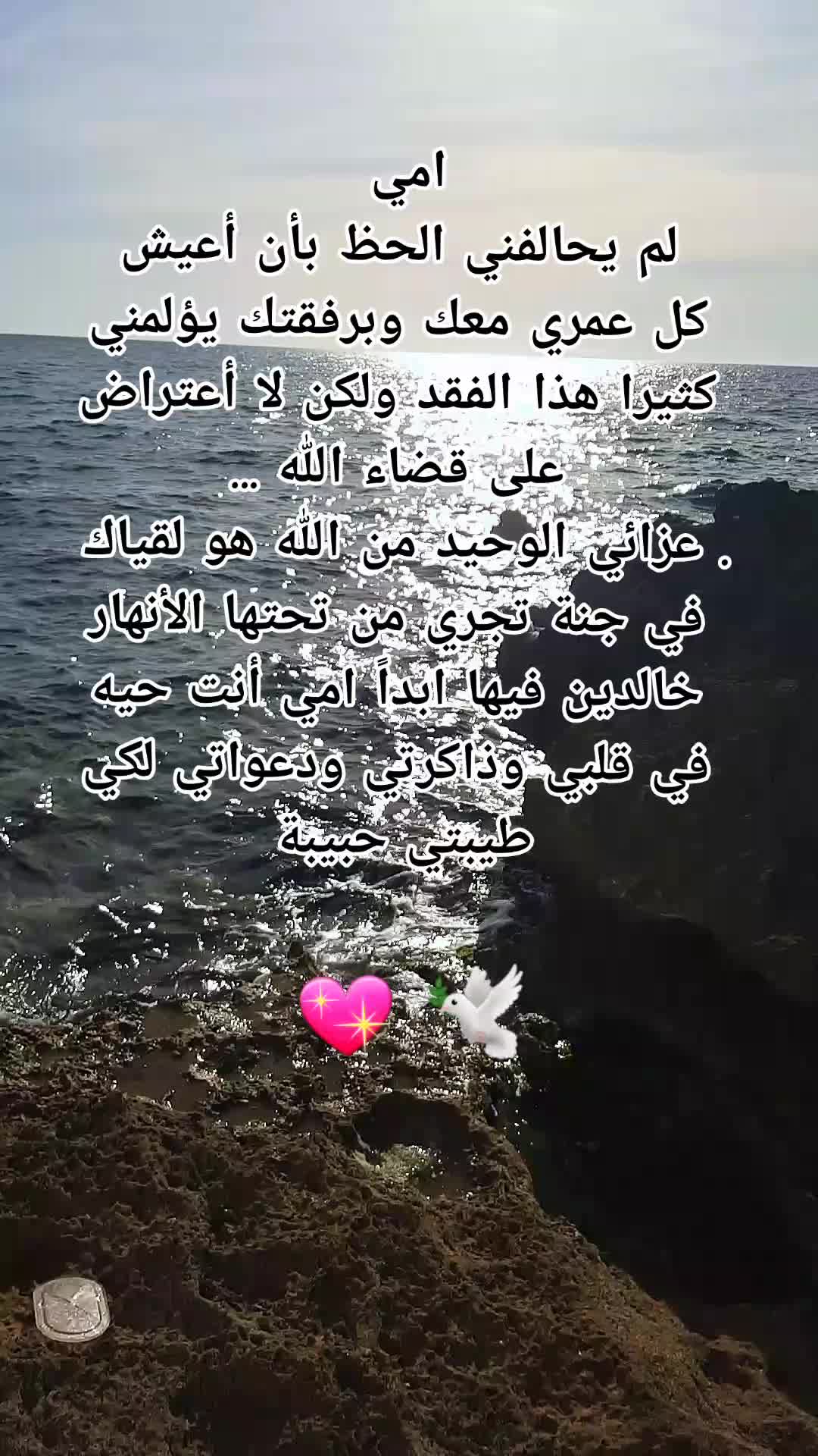 @Ahmed 46 ๐ฉ๐ฟ๐ฉ๐ฟ