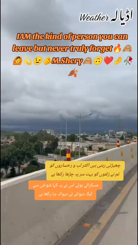 @Shery46