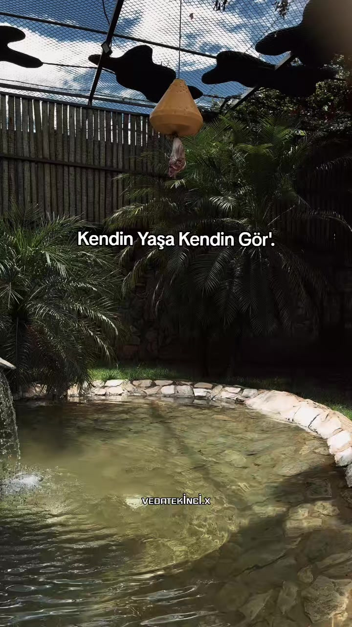 @VEDAT EKİNCİ