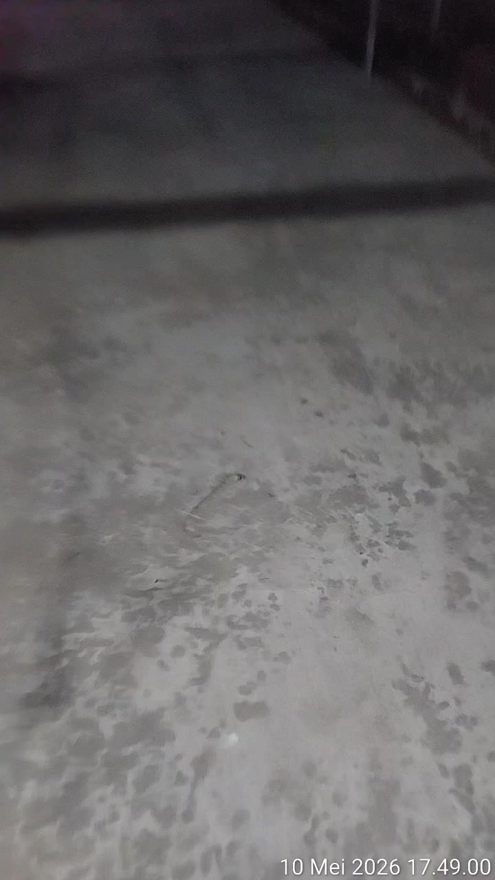 @Nauranursery