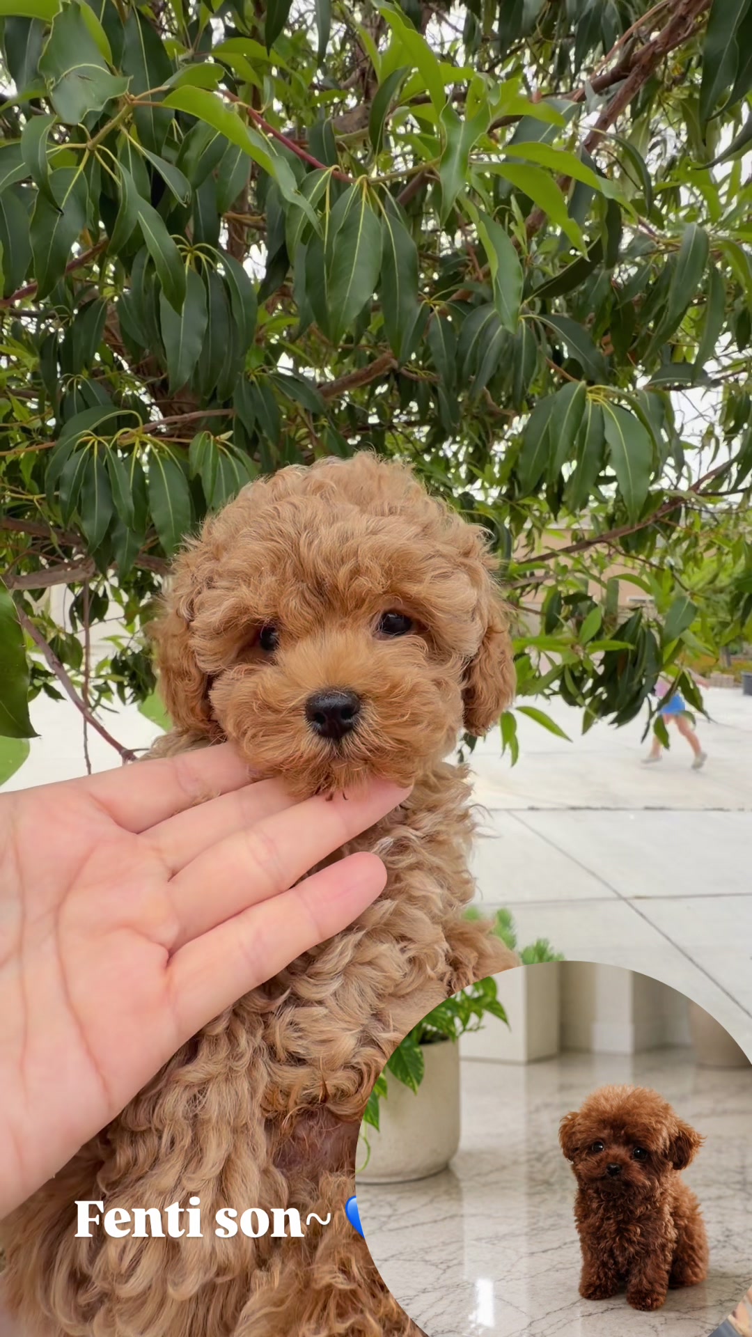 @pupsrepublicusa
