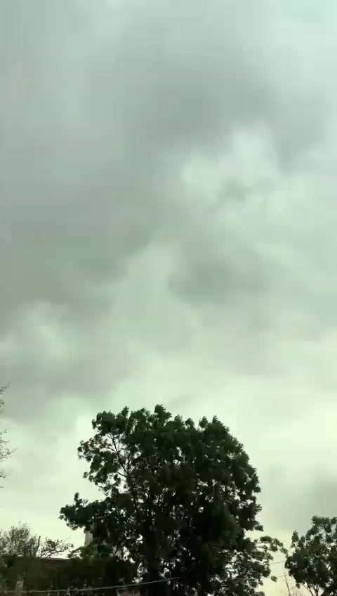 @MANI..0009