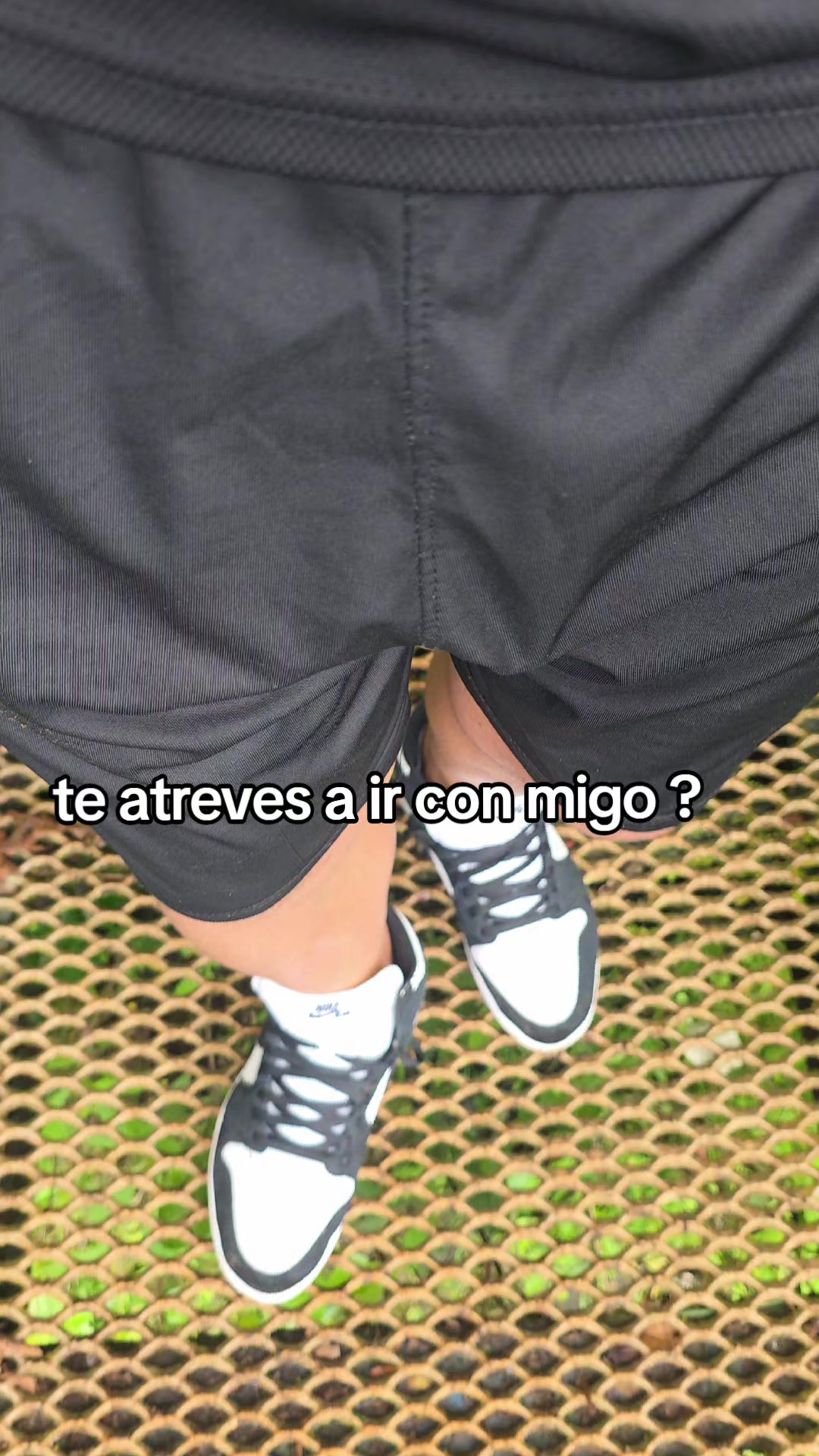 @Acarayherrera ✅️