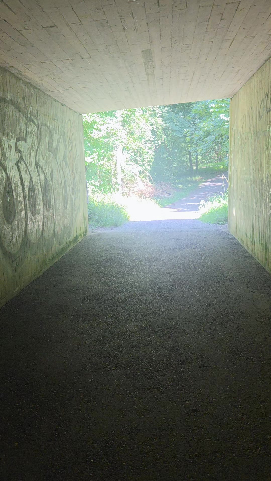 @💜safira🖤
