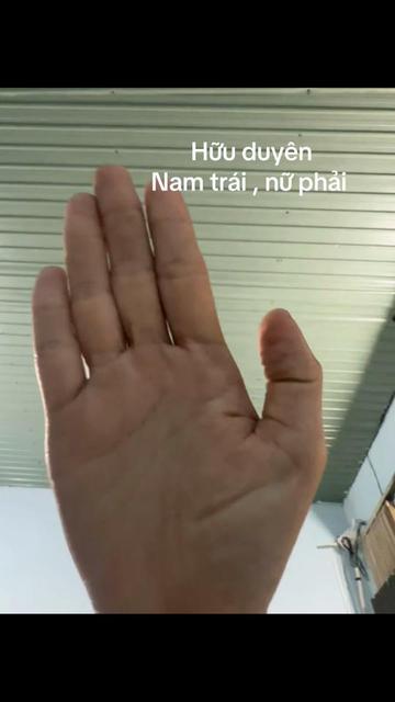 @Xem chỉ tay,tử vi(ph&iacute; tuỳ t&acirc;m)