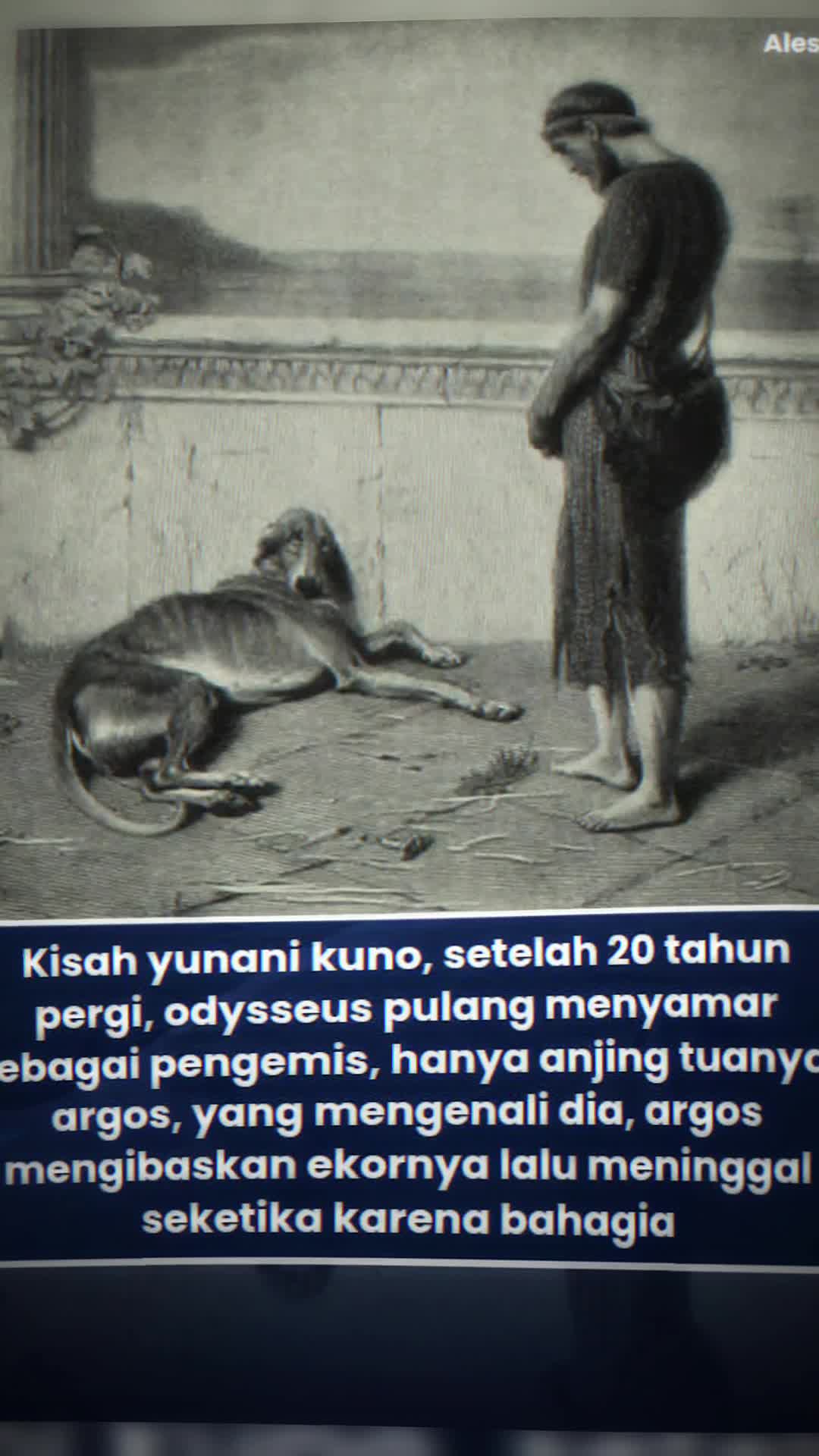 @MUZZ_Ĥīŝťōřŷ ғт『HC』