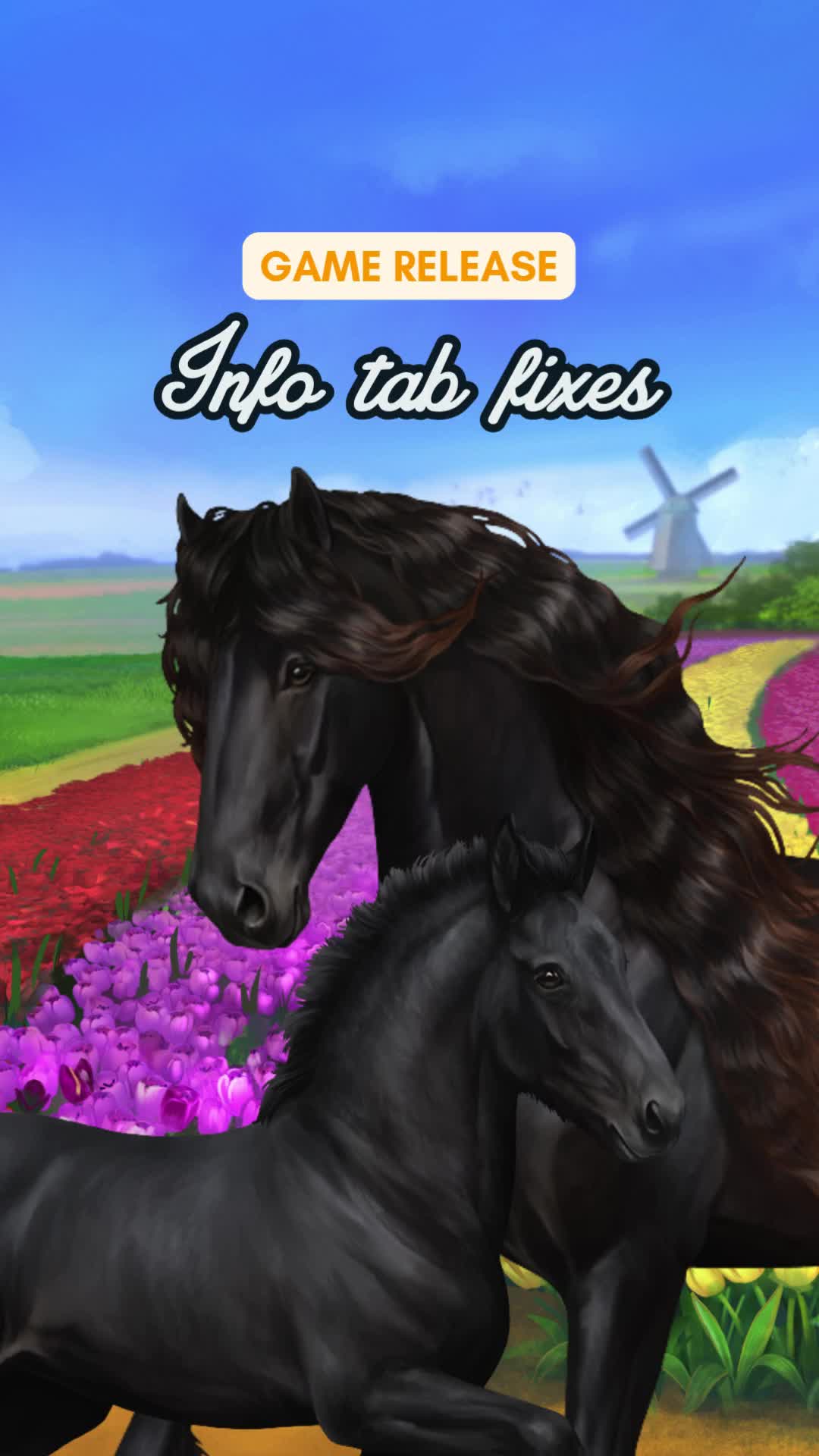 @Horse Reality
