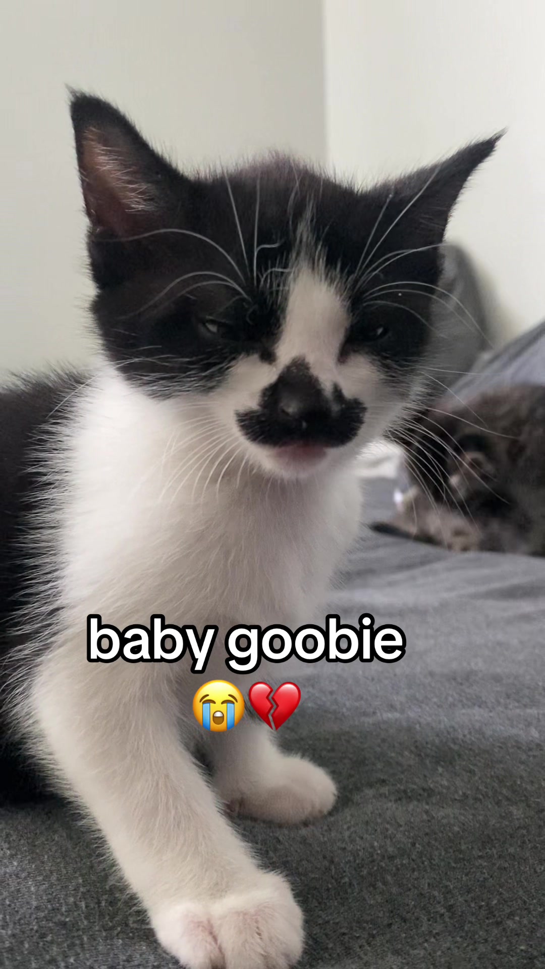 @countess goobula 🖤🩸