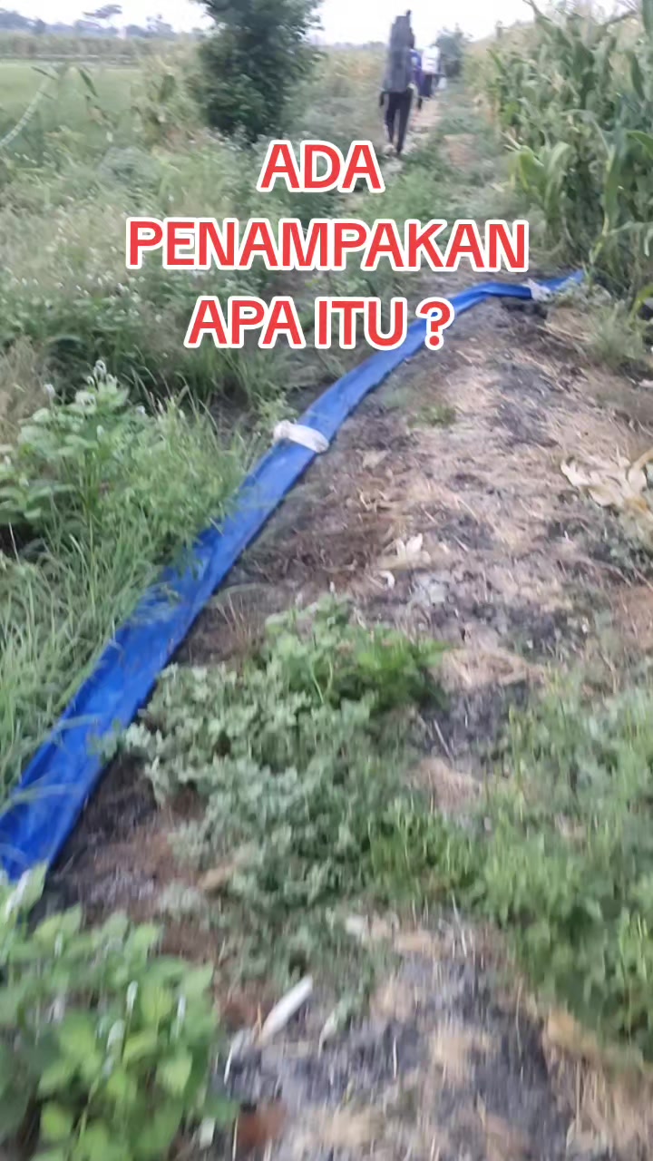 @SuryaGemilang