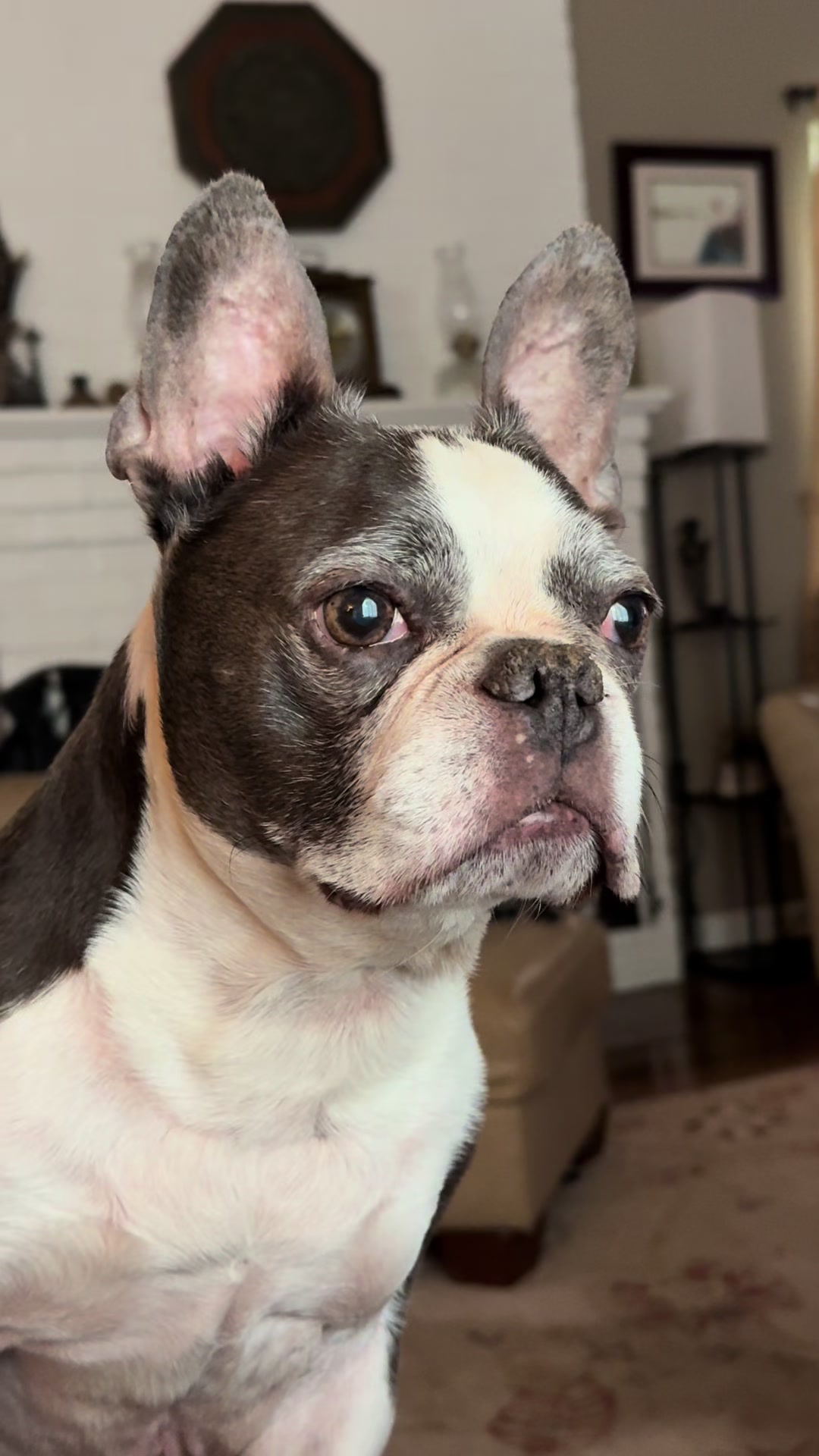 @Hugo_the_Frenchton