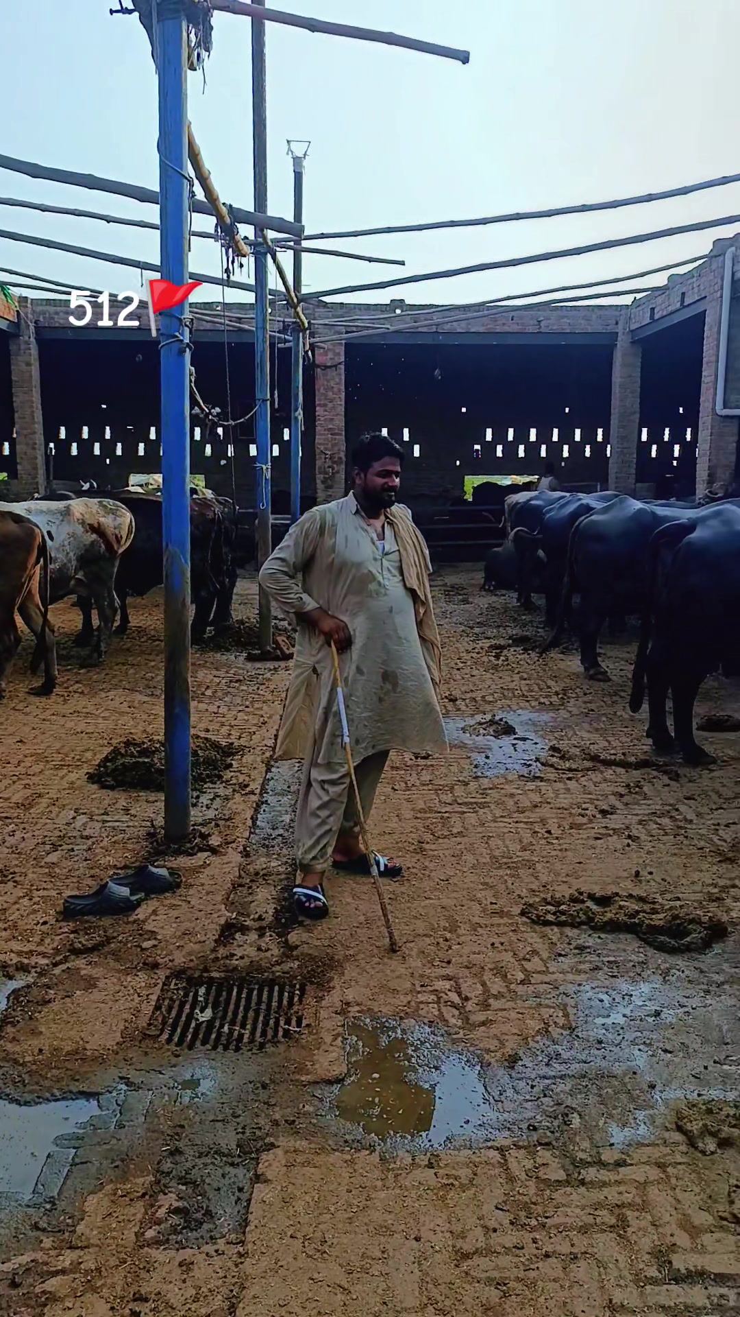 @🚩سردار شانی ڈوگر_512