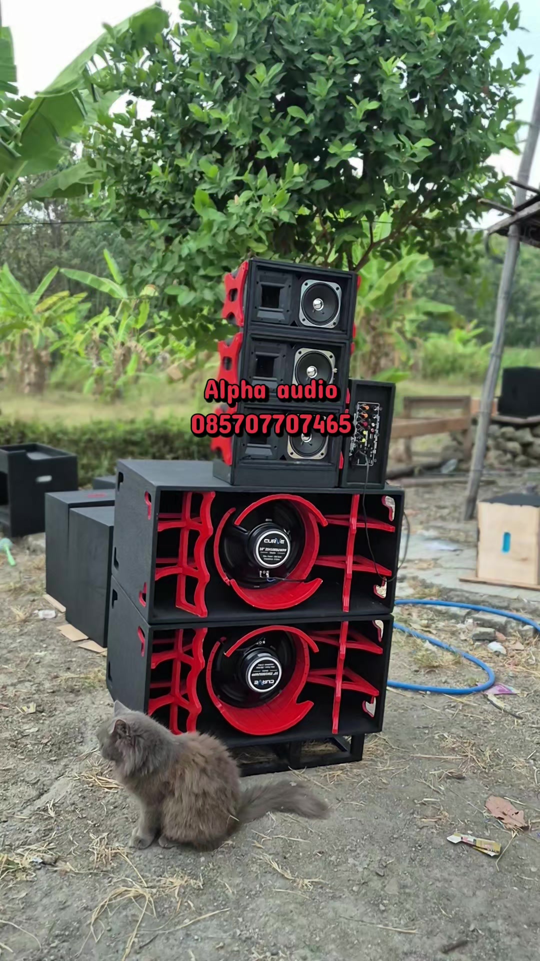 @Alpha audio