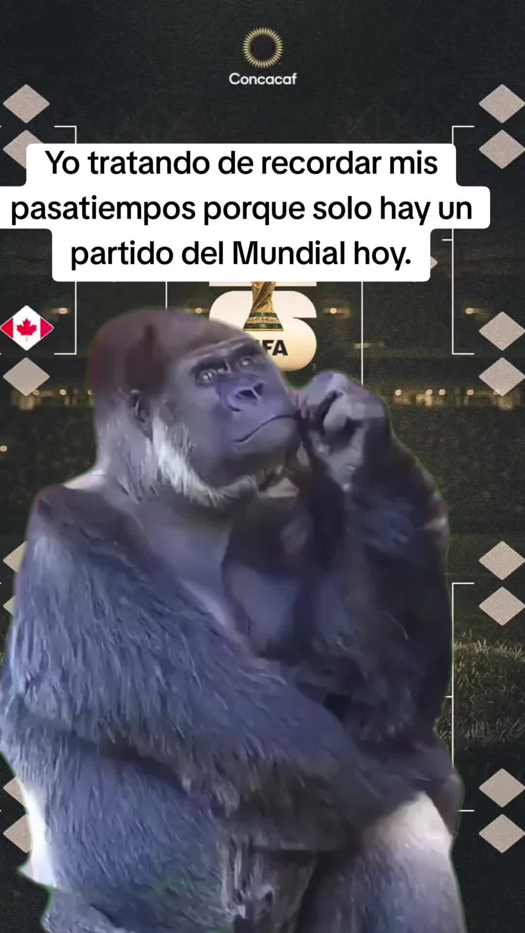 @🎶🎶vega&hearts;️⚽️