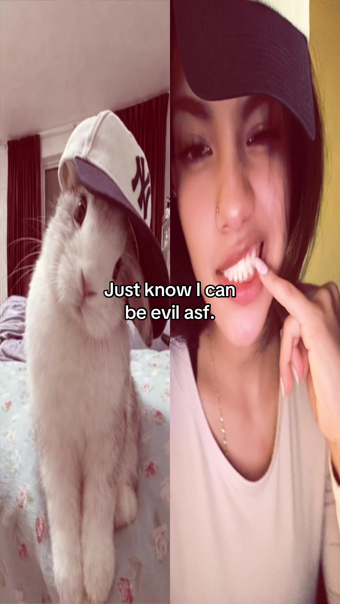 @amorr.scar