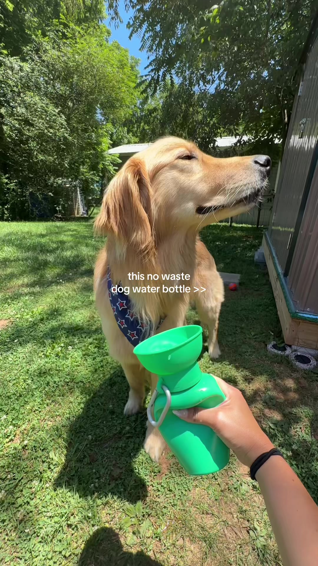 @Josi B🦮