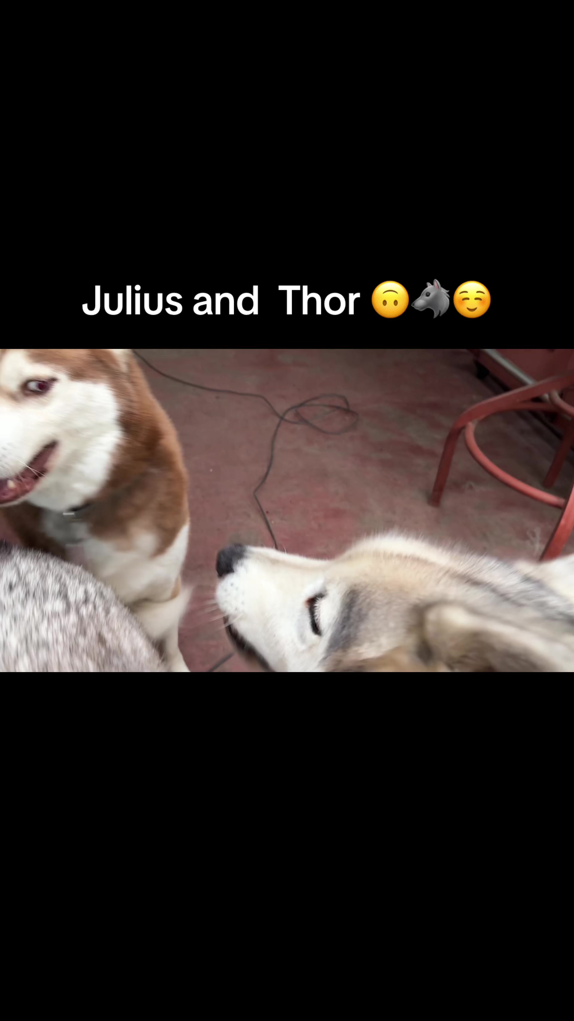 @janolouis95