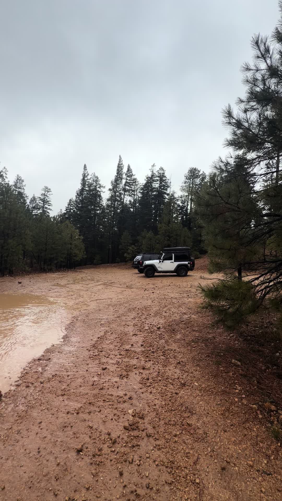 @David explore Arizona 🌲🎣