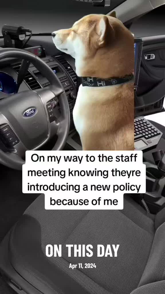 @RP7L