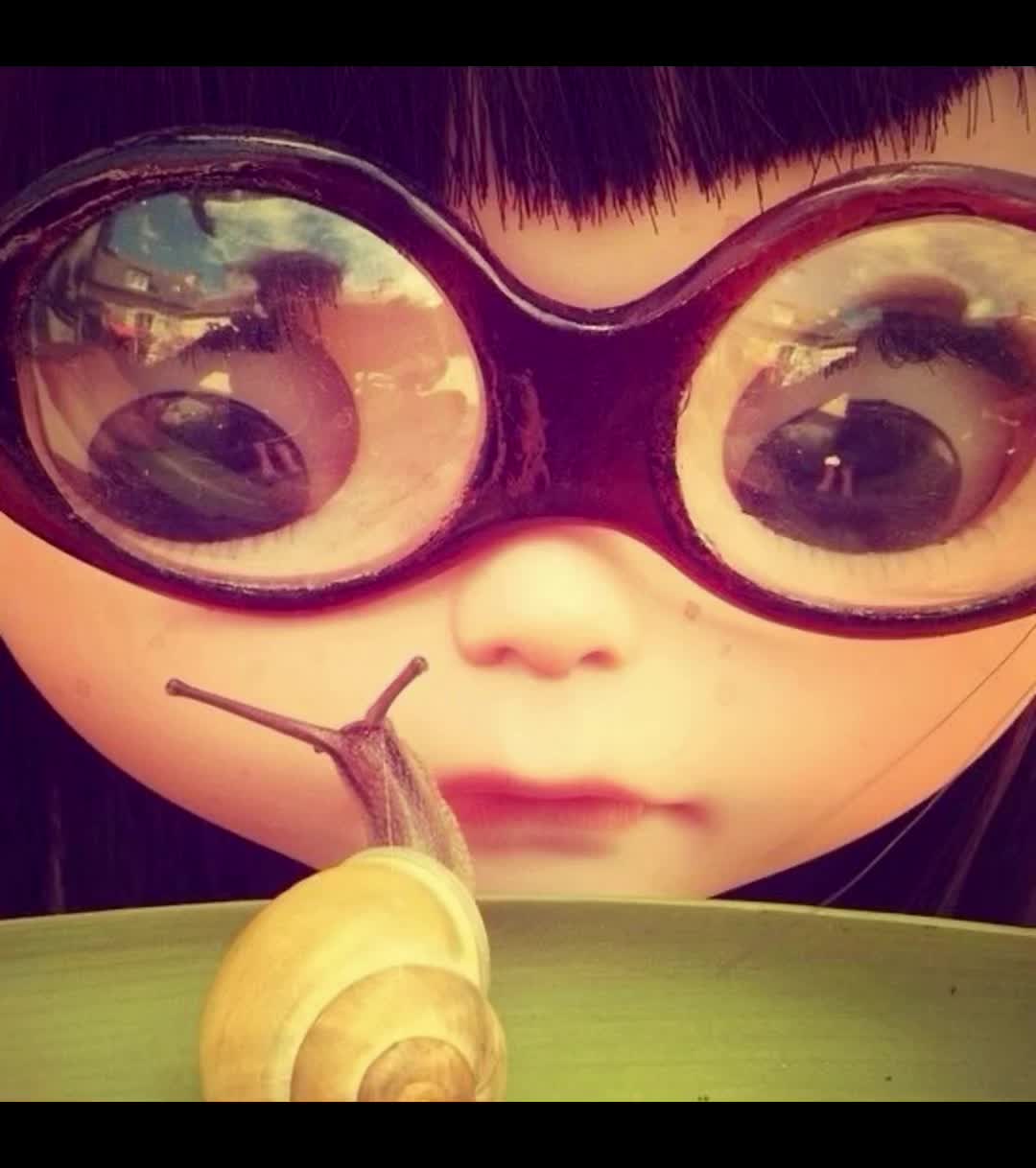 @trinketcollector