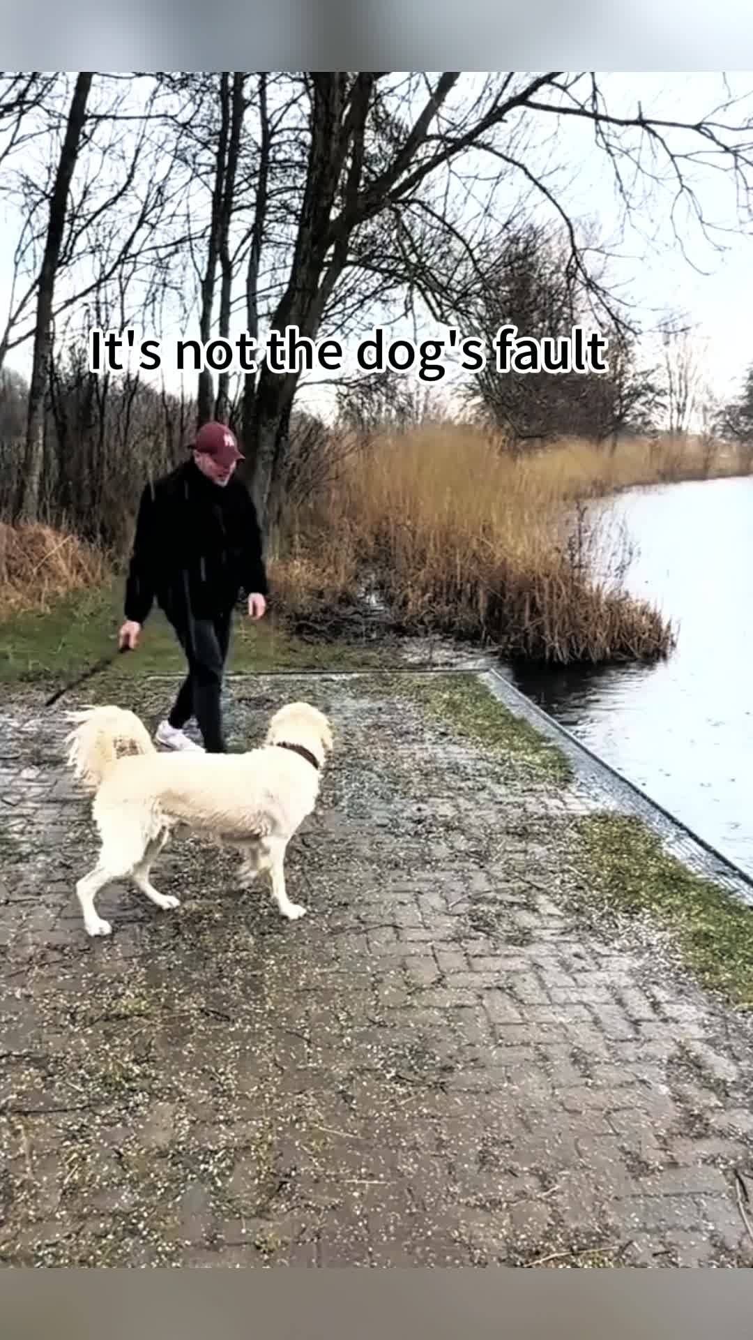 @pet_fnnytimes666