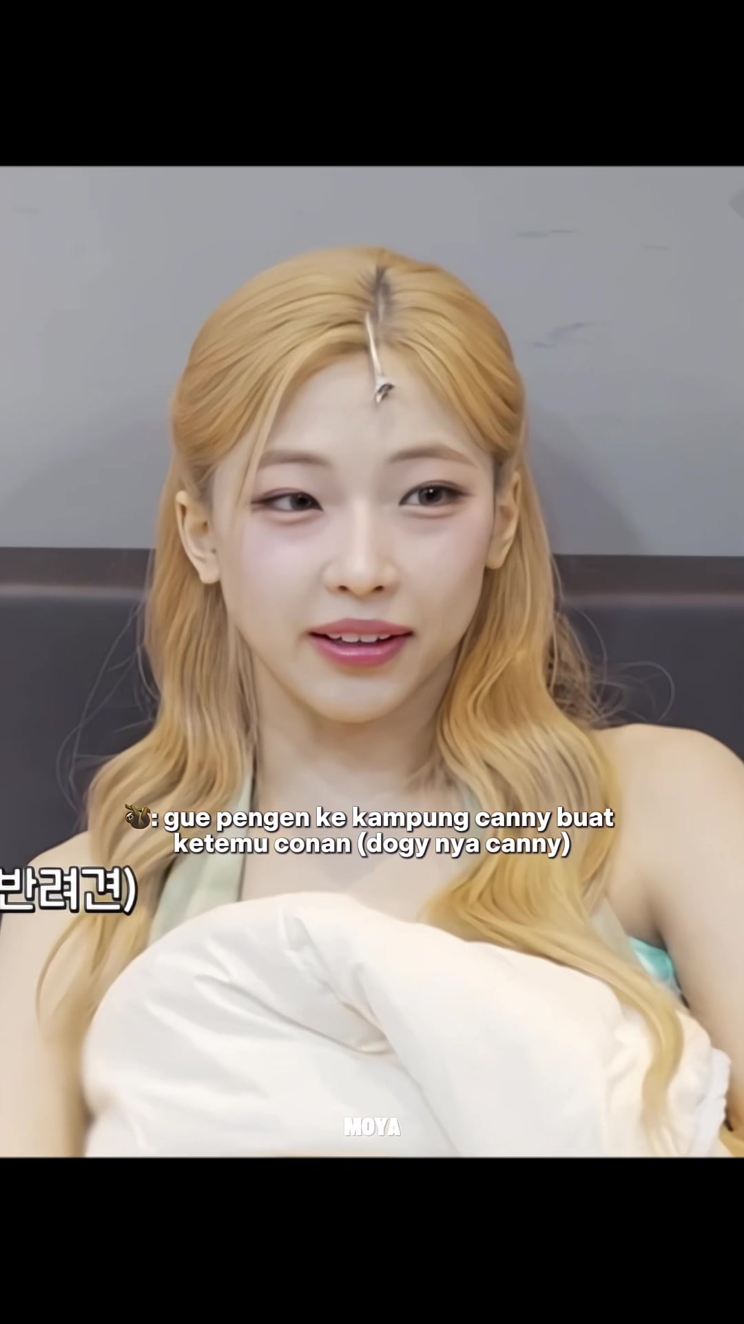 @Moya✦