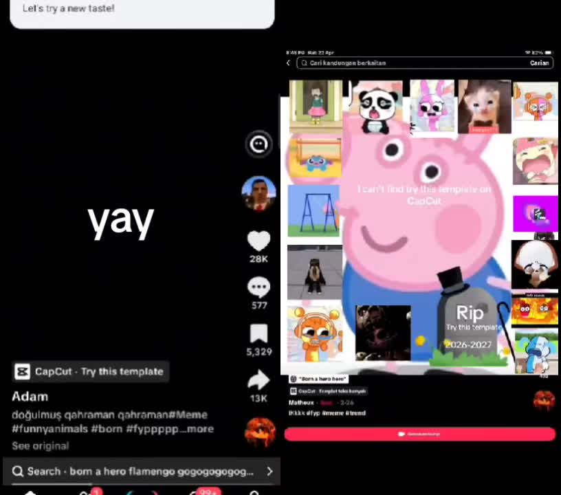 @klsaky csupo chorded