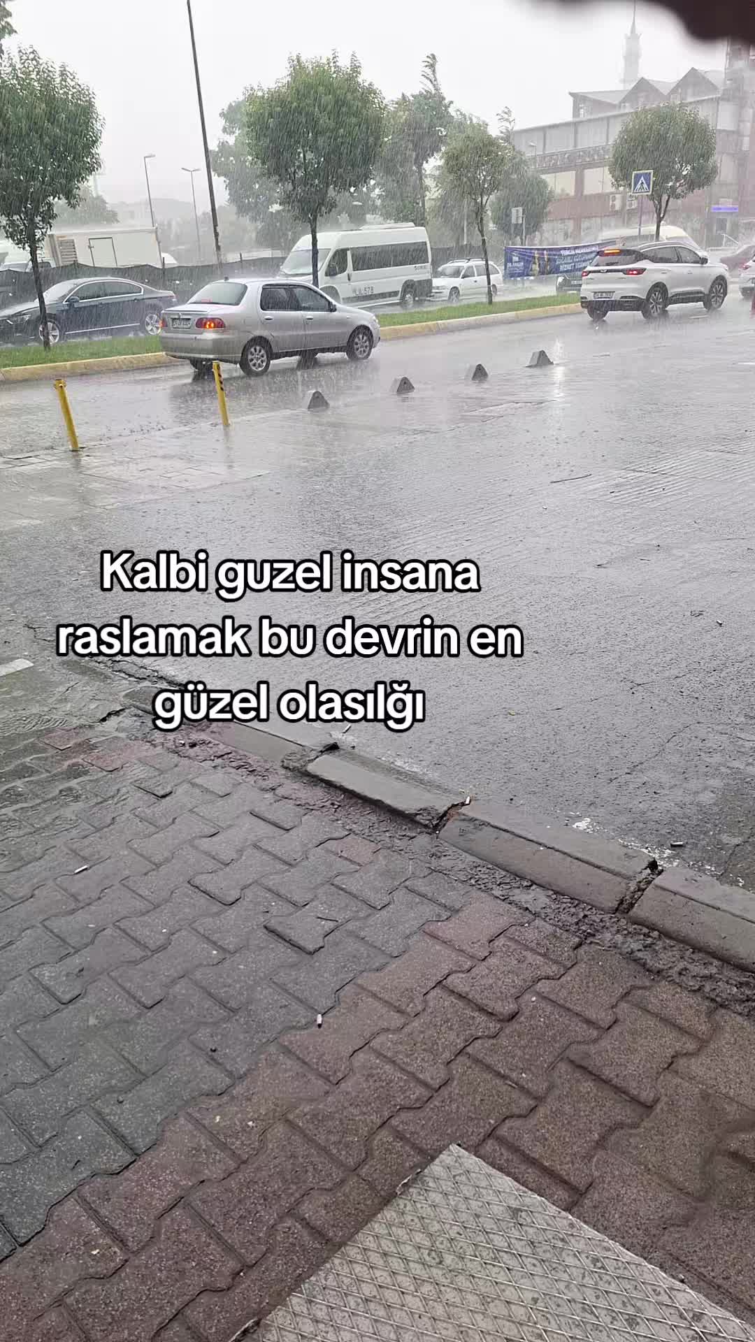 @Bet&uuml;l Halil sağ