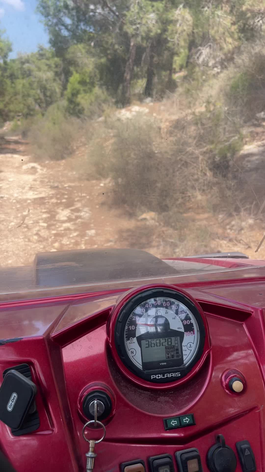 @עדן אלימלך 321