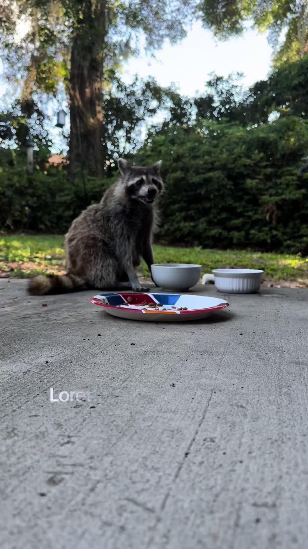 @bonnieontheloose