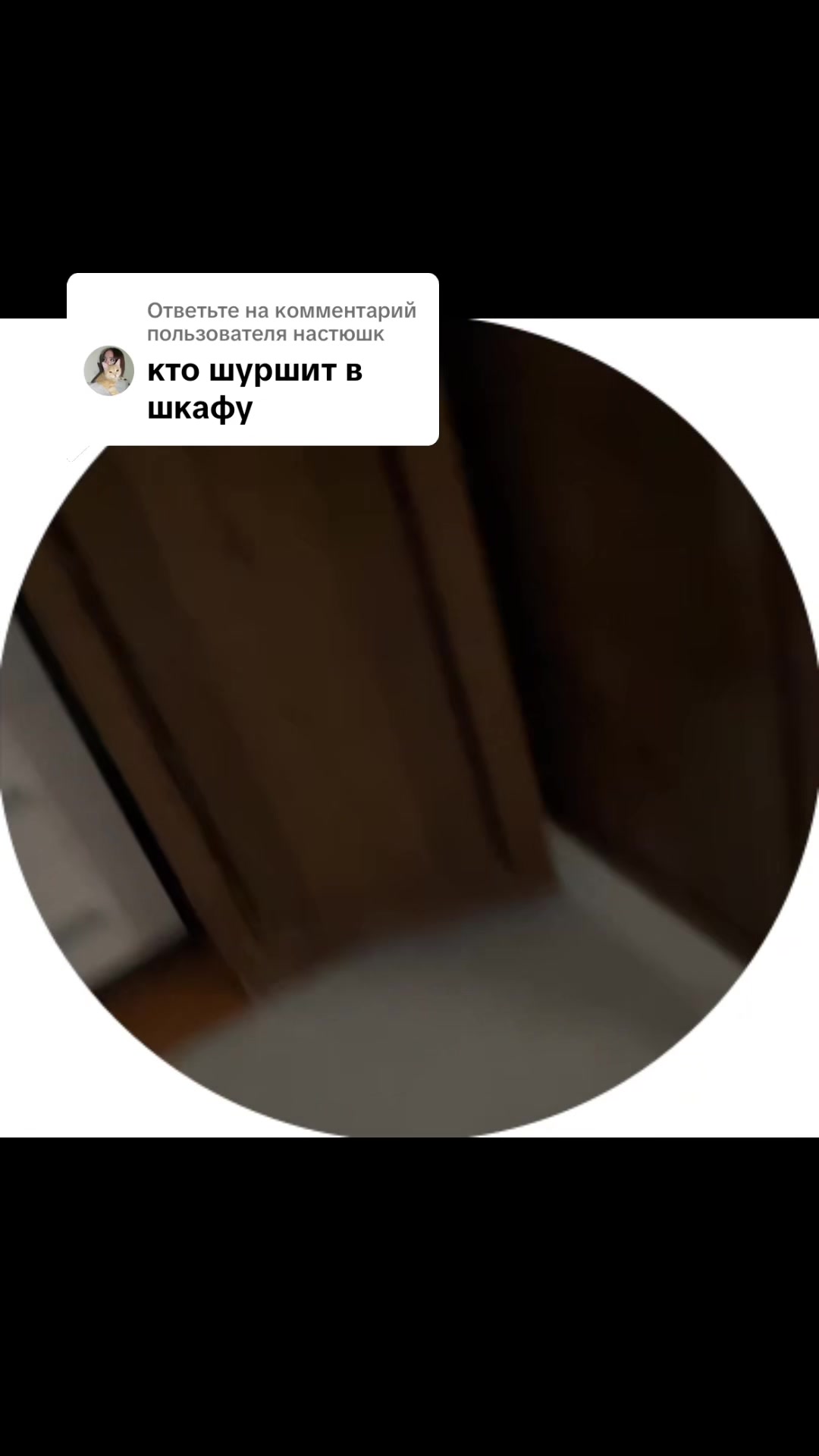 @tg: shchenokk