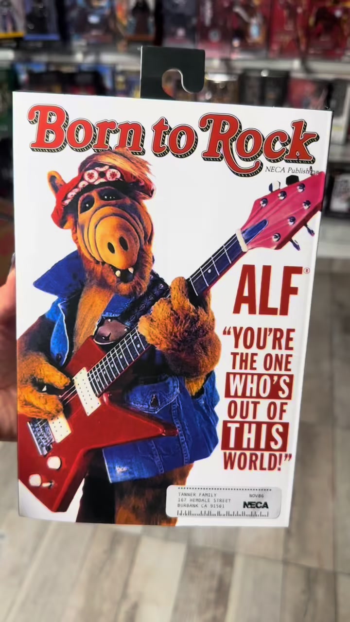 @zampakustore