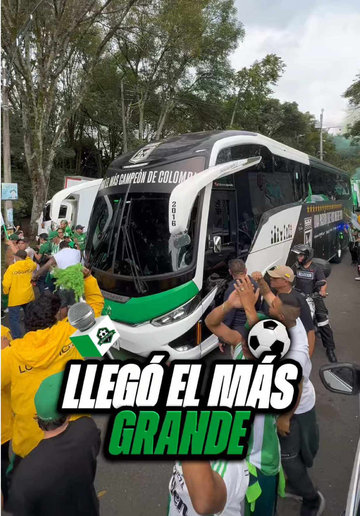 @NOTICIAS DEL VERDE