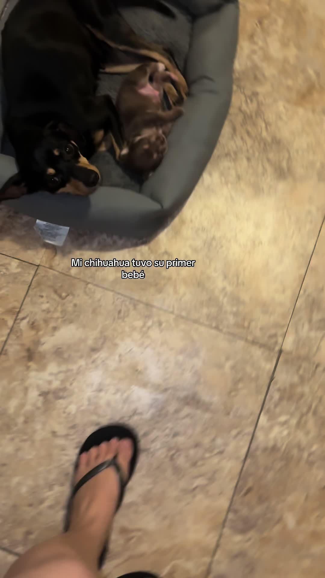 @🪼Mar 🌊