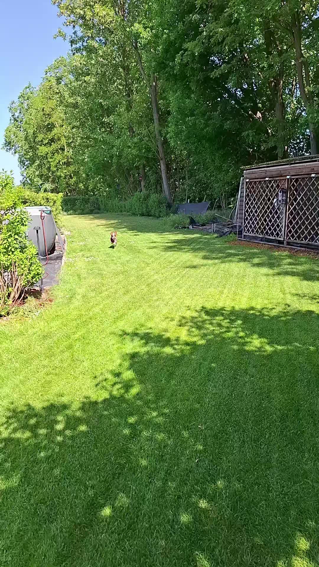 @fenix🍀z🍀popiołu🍀