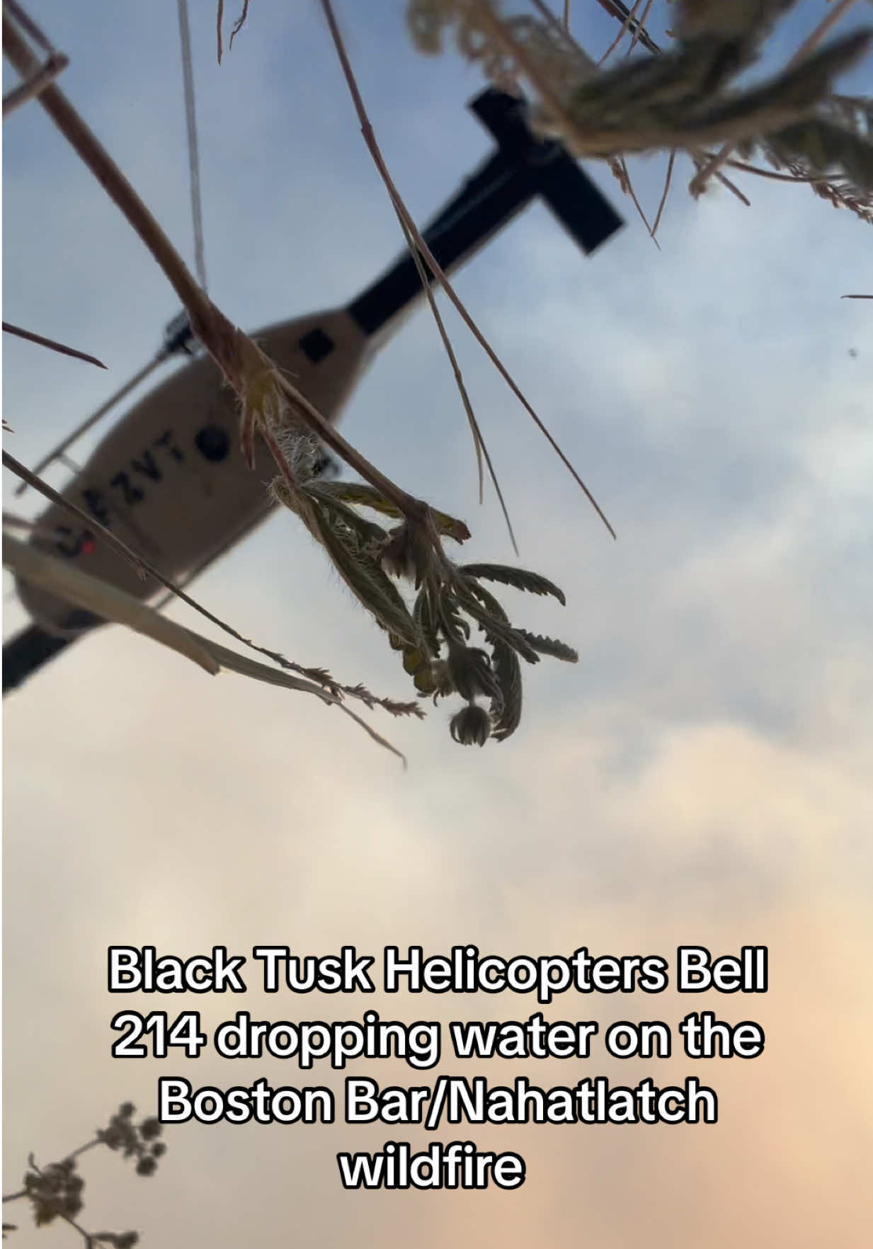 @Truckinsasquatch