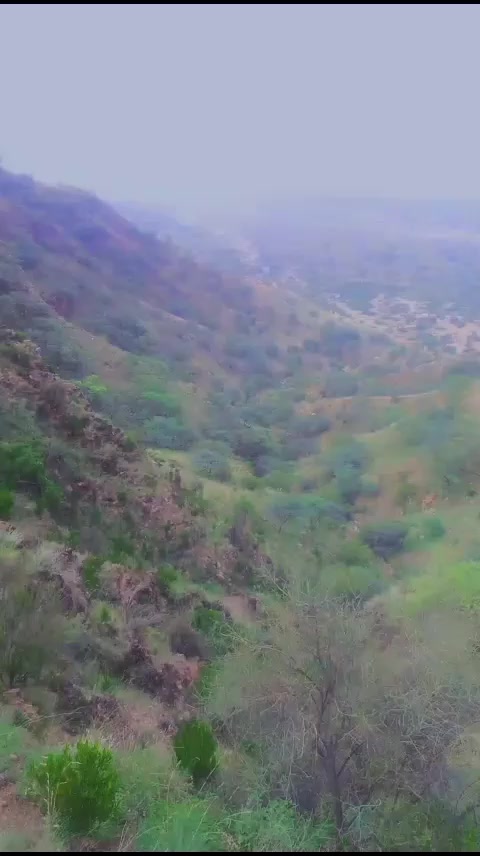 @veer veer