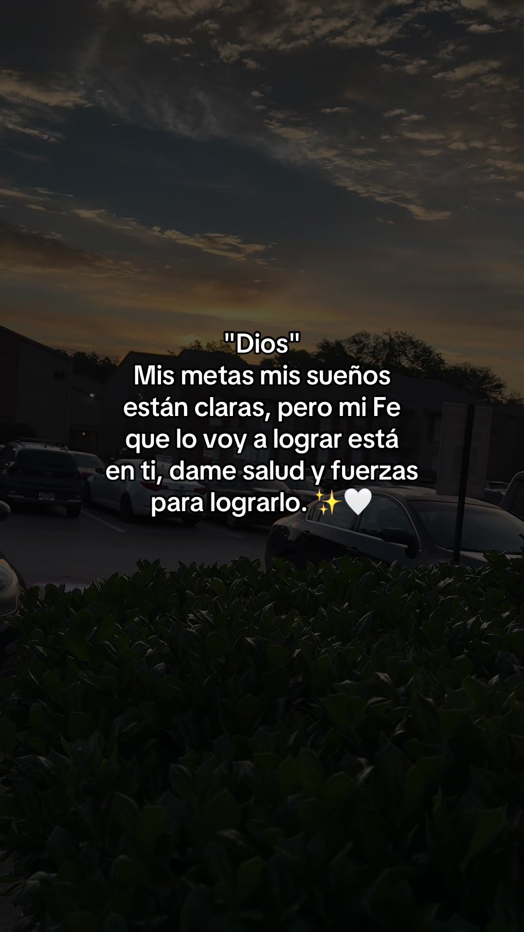 @🌻✨𝐸𝐿𝐼𝒵𝒜𝐵𝐸𝒯𝐻✨🌻