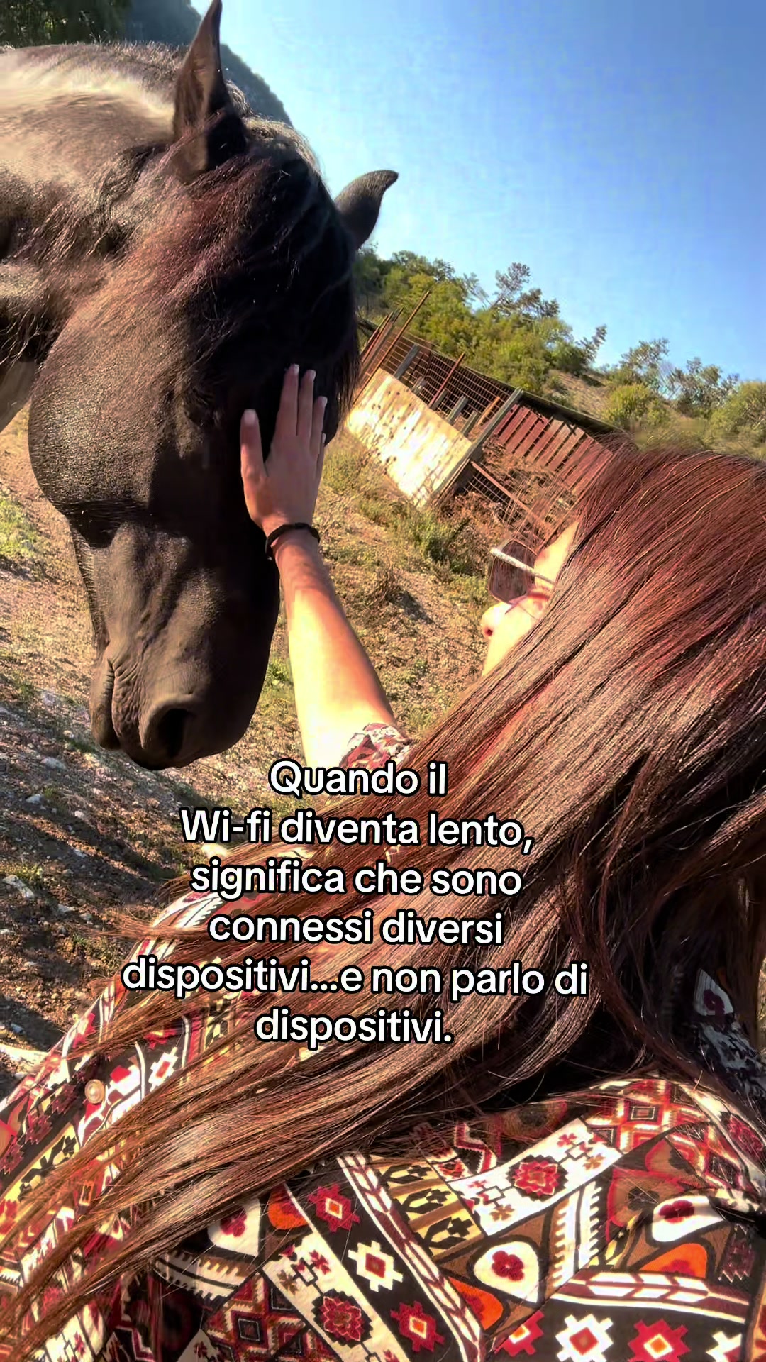 @black_the_friesian