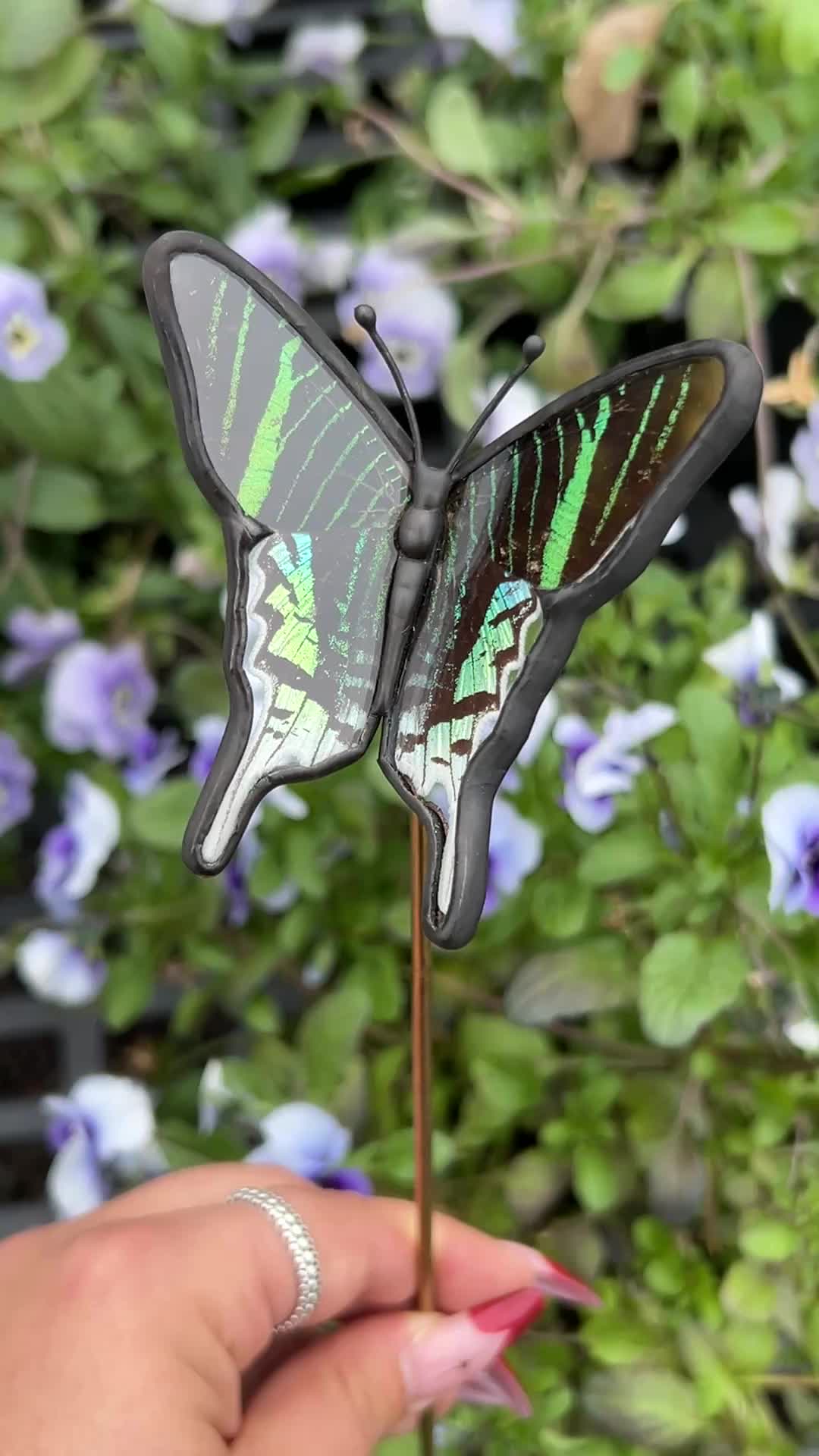 @Curiosity Garden