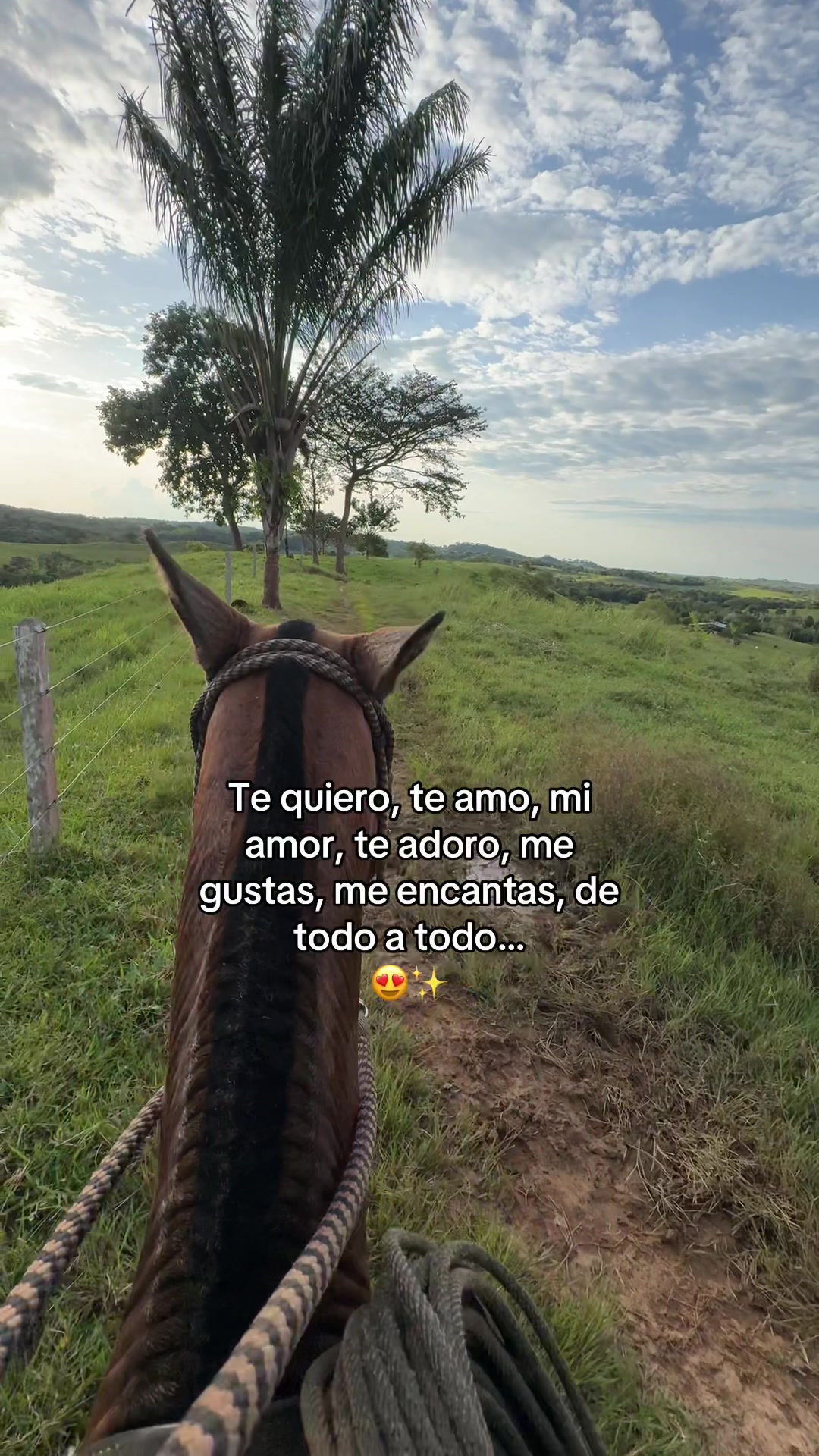 @Didier_🤠