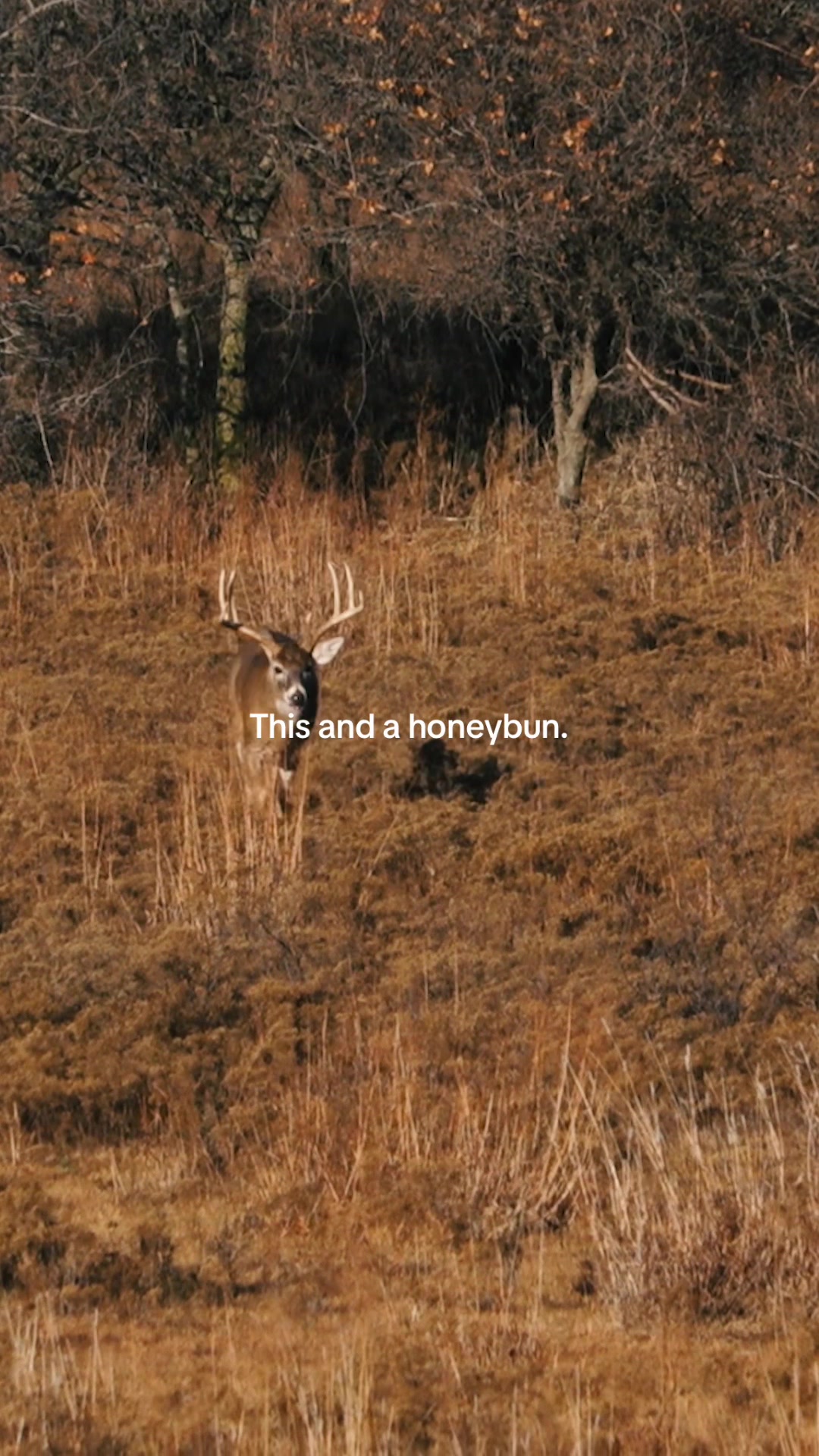 @Moultrie
