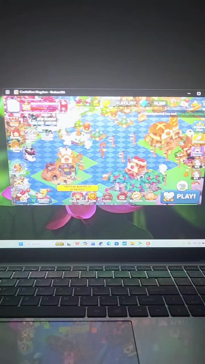 @Garra2424