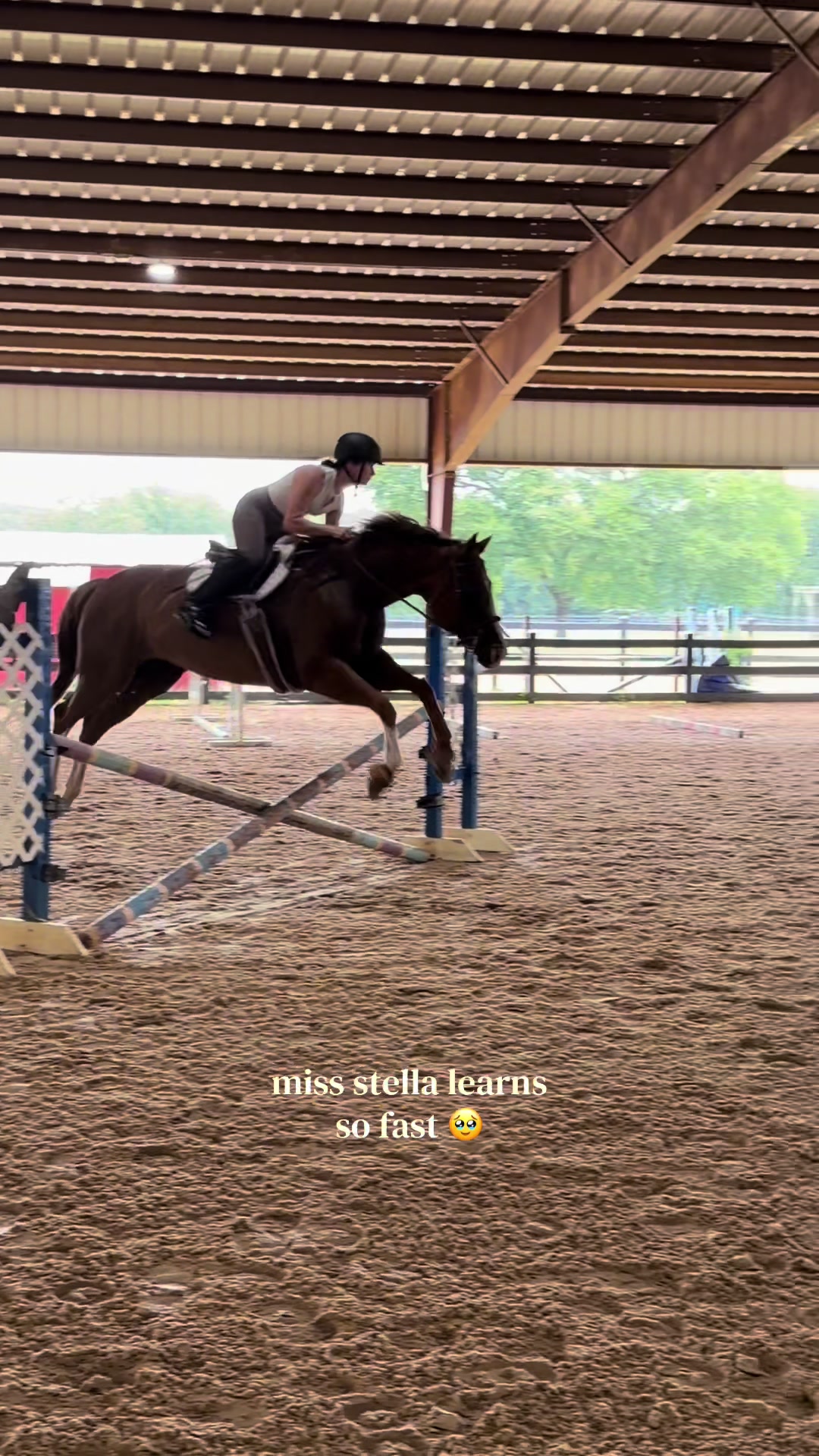 @Audra Jo | Dallas PT