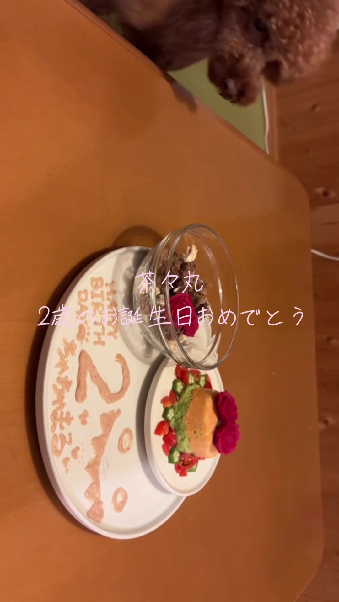 @kamachokopu