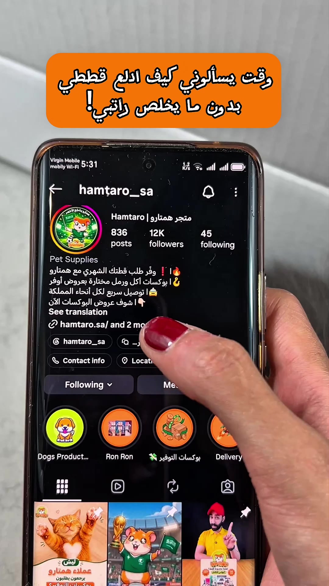 @hamtaro sa