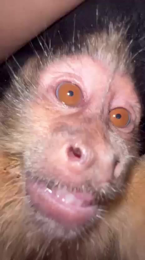 @NATALIA